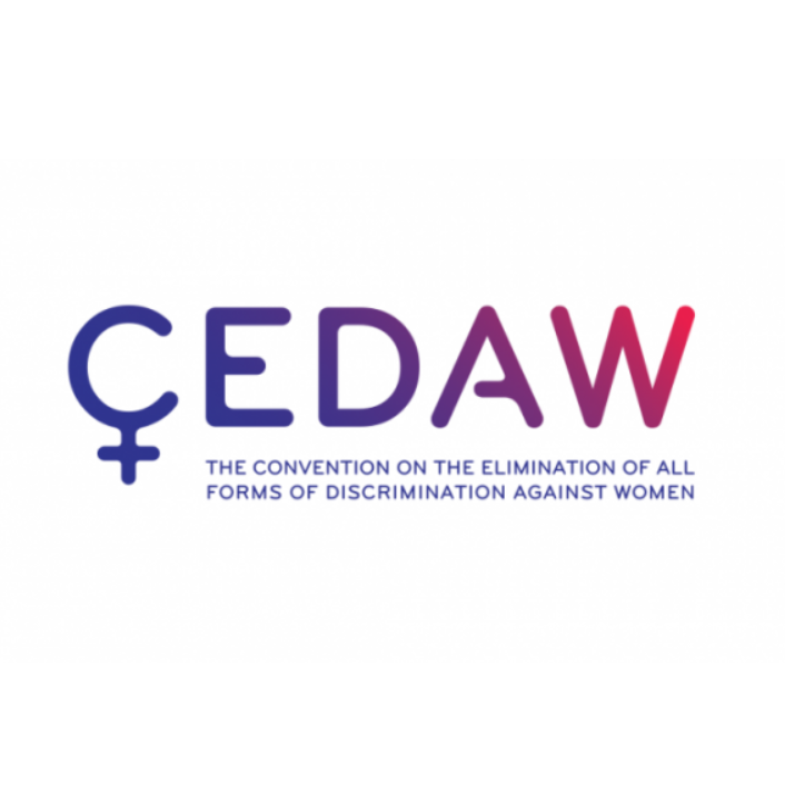 ALTERNATIVE REPORT  TO THE SIXTH PERIODIC REPORT SUBMITTED BY THE REPUBLIC OF  MOLDOVA  FOR CONSIDERATION AT THE CEDAW 75 TH SESSION WITH REGARDS TO IMPLEMENTATION OF THE GENERAL RECOMMENDATION NO. 19 ON GENDER-BASED VIOLENCE AGAINST WOMEN