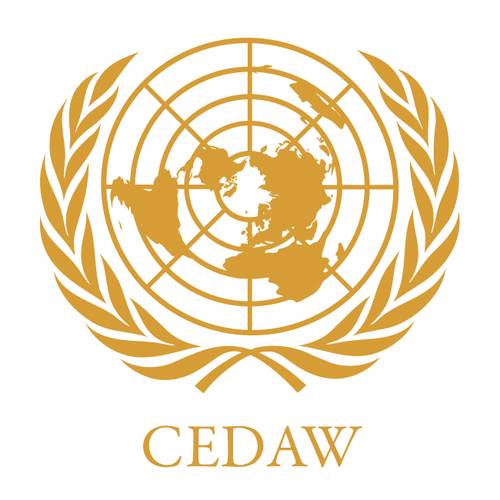 Recomandările și observațiile CEDAW după cel de-al 6-lea raport de țară/ENG/